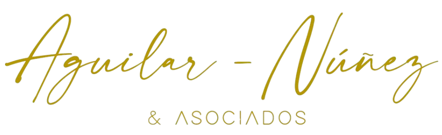 aguilarnunez.website